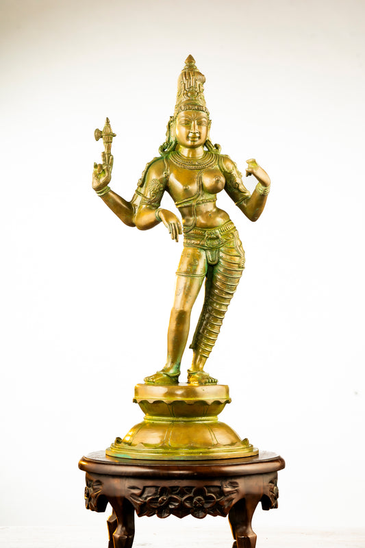 Antique Finished Elegant Ardhanareeswarar - 20"