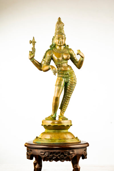 Antique Finished Elegant Ardhanareeswarar - 20