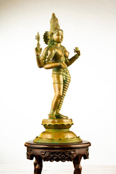 Antique Finished Elegant Ardhanareeswarar - 20