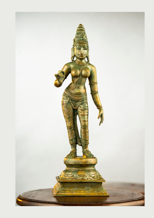 Antique Finished Elegant Sivagami 13"