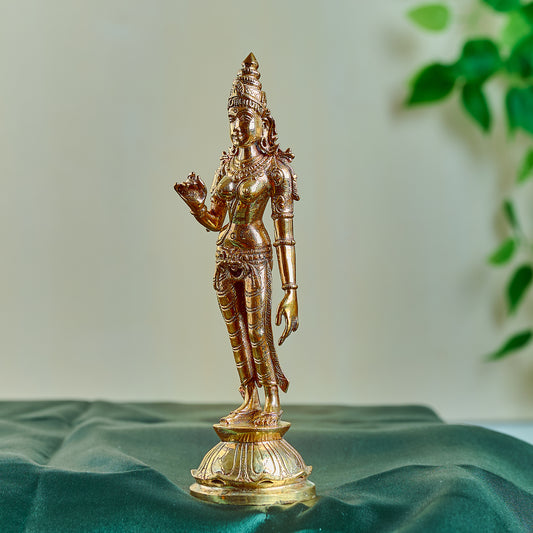 Bronze Sivagami 6"