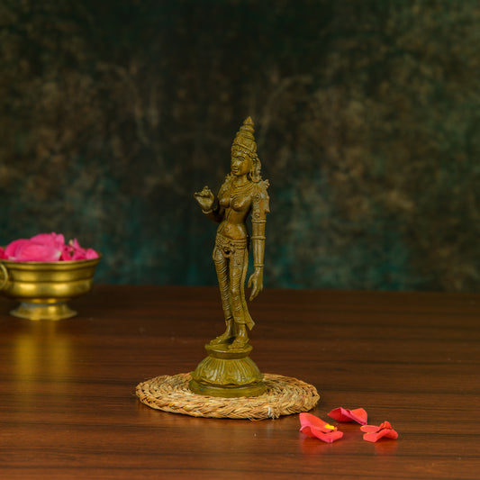 Antique Finished Bronze Sivagami -6"