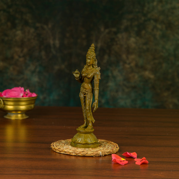Antique Finished Bronze Sivagami -6