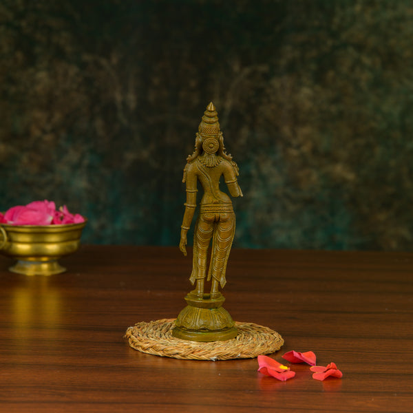 Antique Finished Bronze Sivagami -6