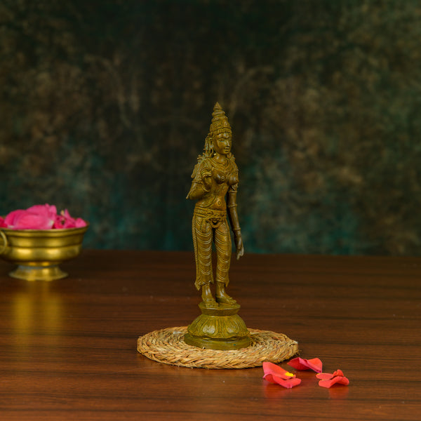 Antique Finished Bronze Sivagami -6