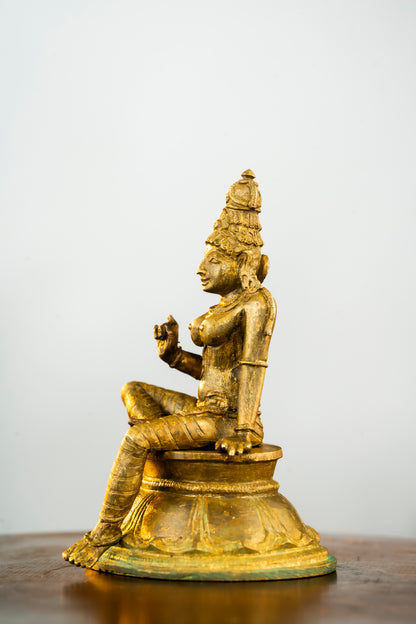 Antique Finished Boga Sakthi