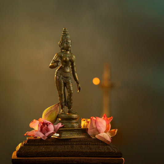 Antique Finished Elegant Sivagami 13"