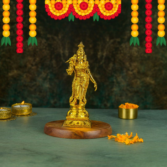 Bronze Meenakshi 6"