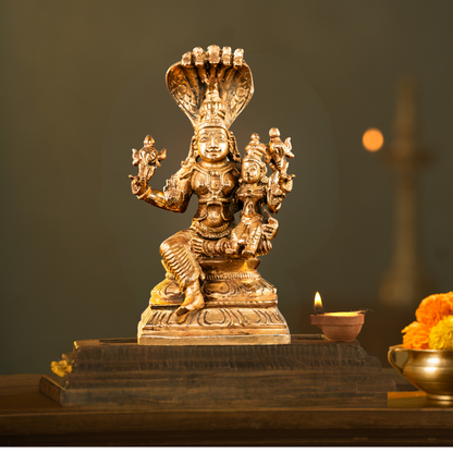 Bronze Lakshmi Narayanan