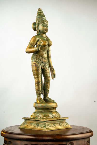 Antique Finished Elegant Sivagami 13