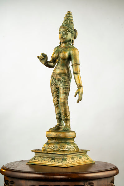 Antique Finished Elegant Sivagami 13