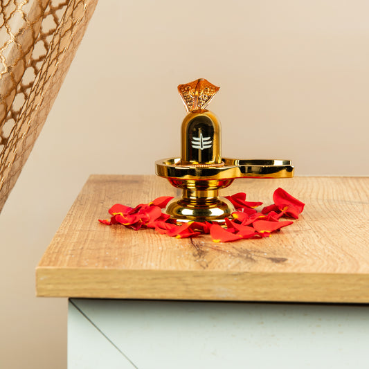 Zinc-Finished Shivalingam with Nagam