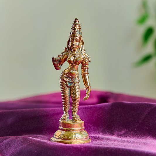 Bronze Sivagami 4"