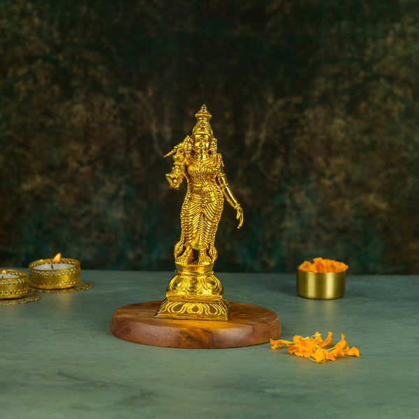 Bronze Meenakshi 6