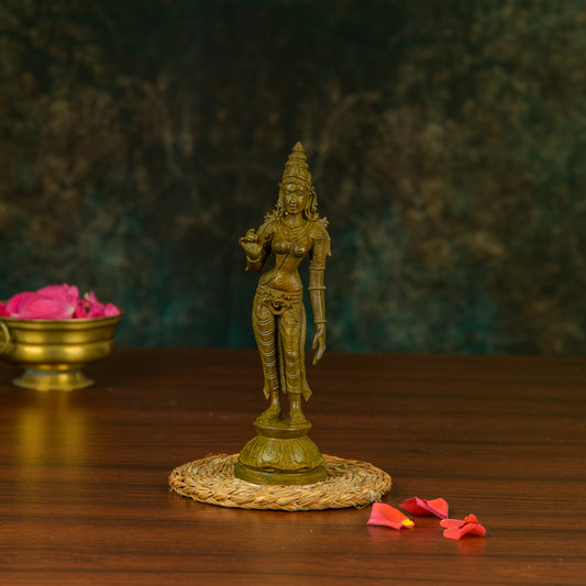 Antique Finished Bronze Sivagami -6"