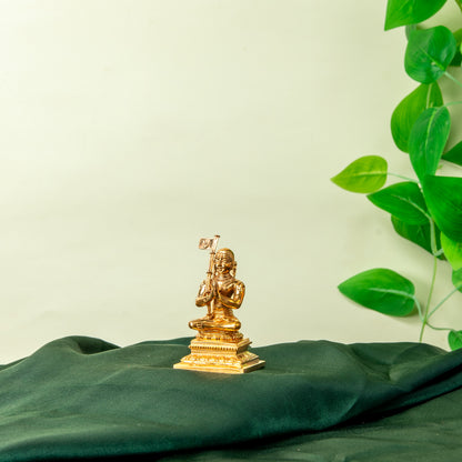 Bronze Ramanujar