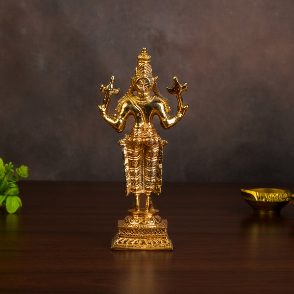 Bronze Dhanvanthri 6